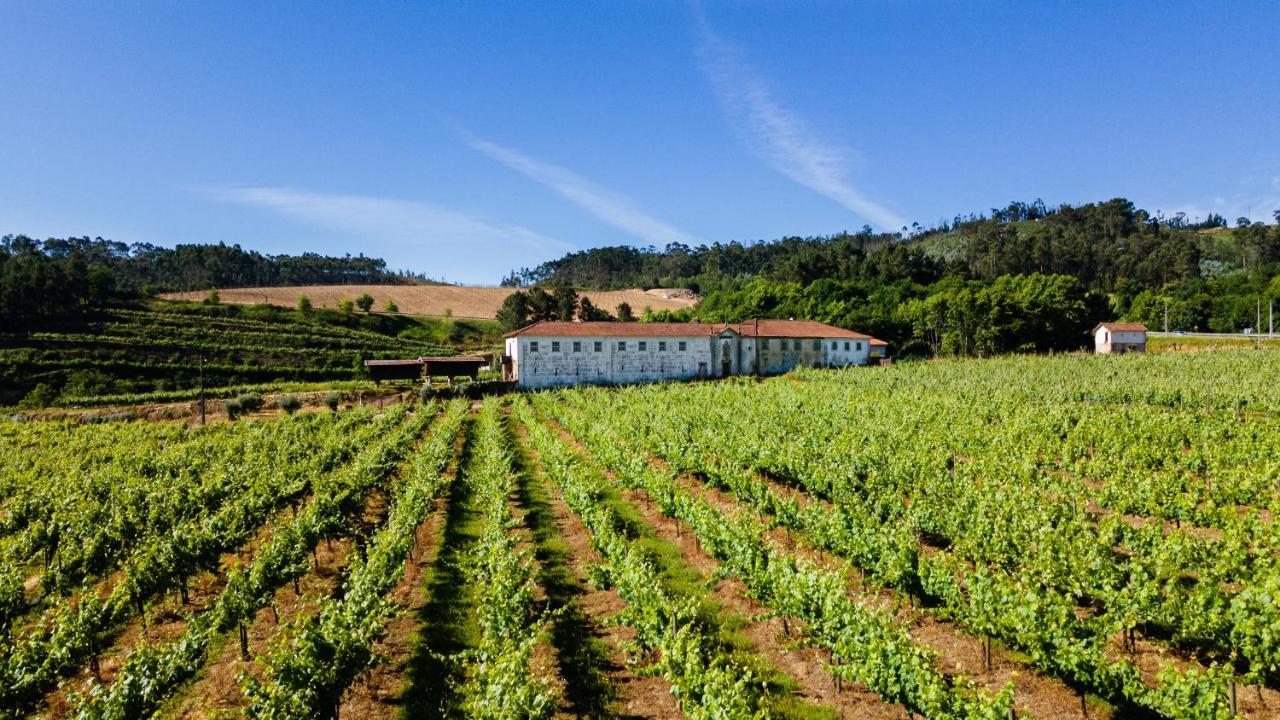Casas Casal De Nino Villa Celorico De Basto Eksteriør billede
